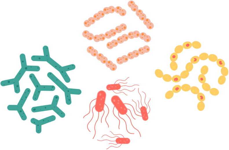 Bunte grafische Darstellung von Mikroben