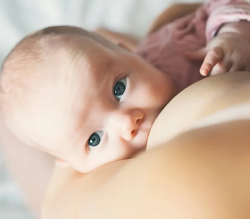 Mikrobiom in der Stillzeit – stillendes Baby an der Brust
