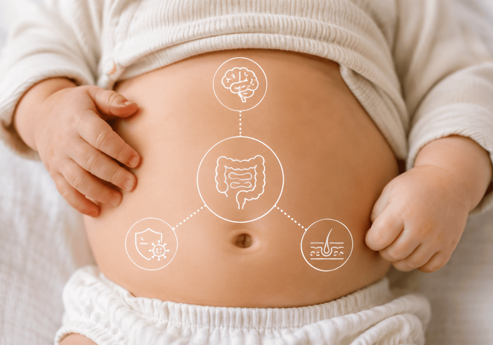 Babybauch mit Illustration der Verbindungen zwischen Darm, Gehirn, Haut und Immunsystem