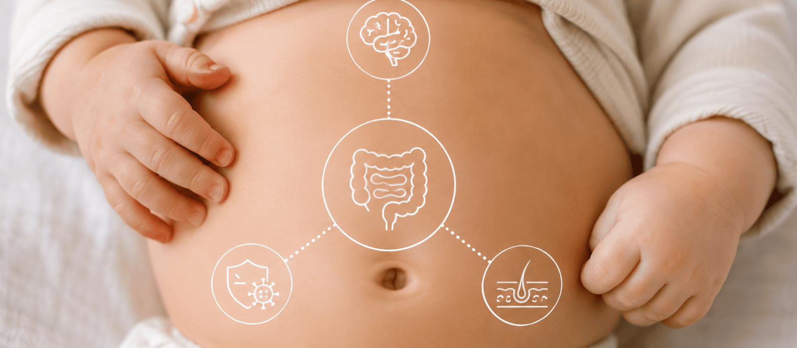Babybauch mit Illustration der Verbindungen zwischen Darm, Gehirn, Haut und Immunsystem
