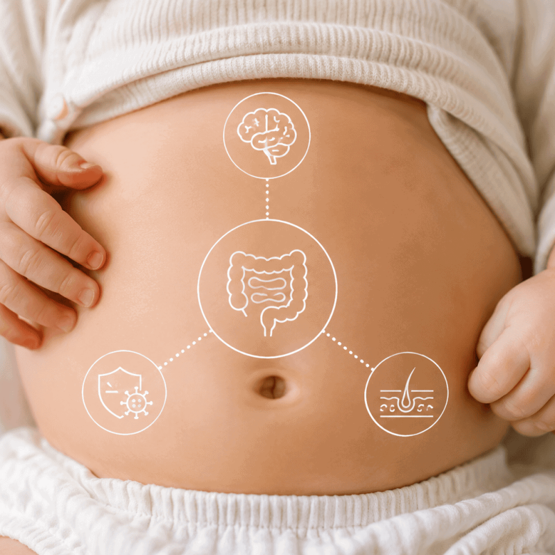 Babybauch mit Illustration der Verbindungen zwischen Darm, Gehirn, Haut und Immunsystem