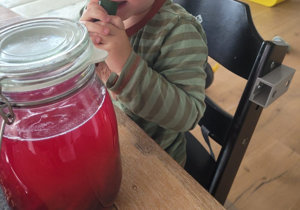 Fermentiertes für Babys für die Beikost